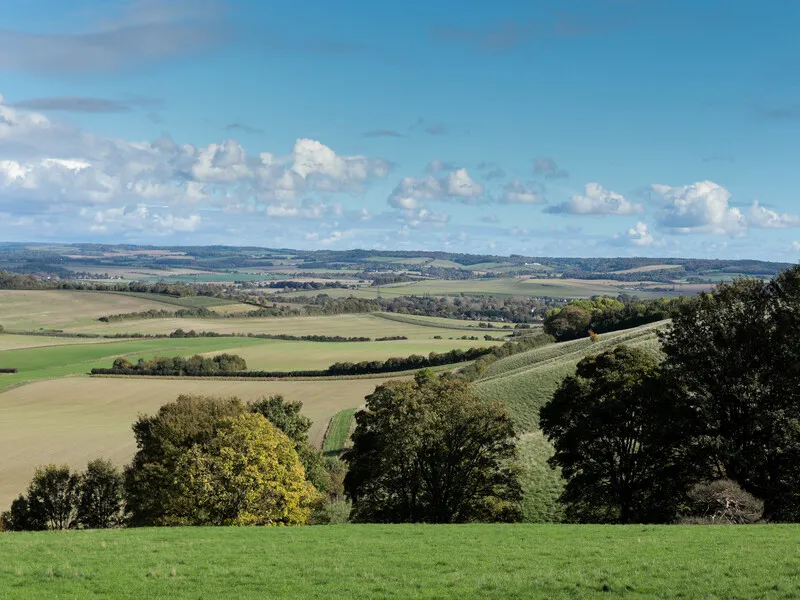 Moulsford Downs